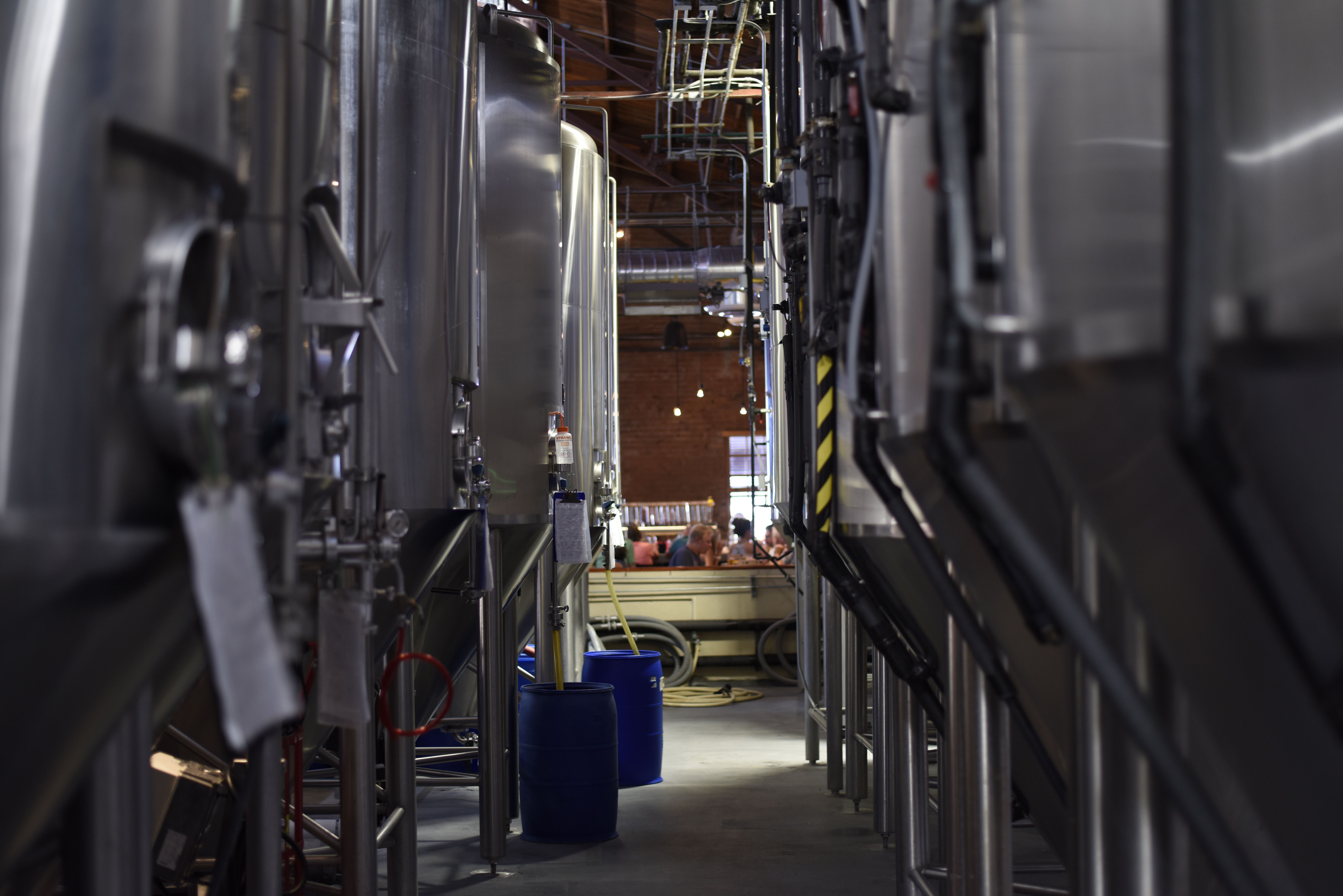 Stainless fermentation tanks on the production floor